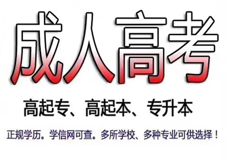技能考证，职业发展的绿色阶梯