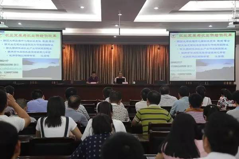 学历提升：开启职业生涯新篇章的金钥匙